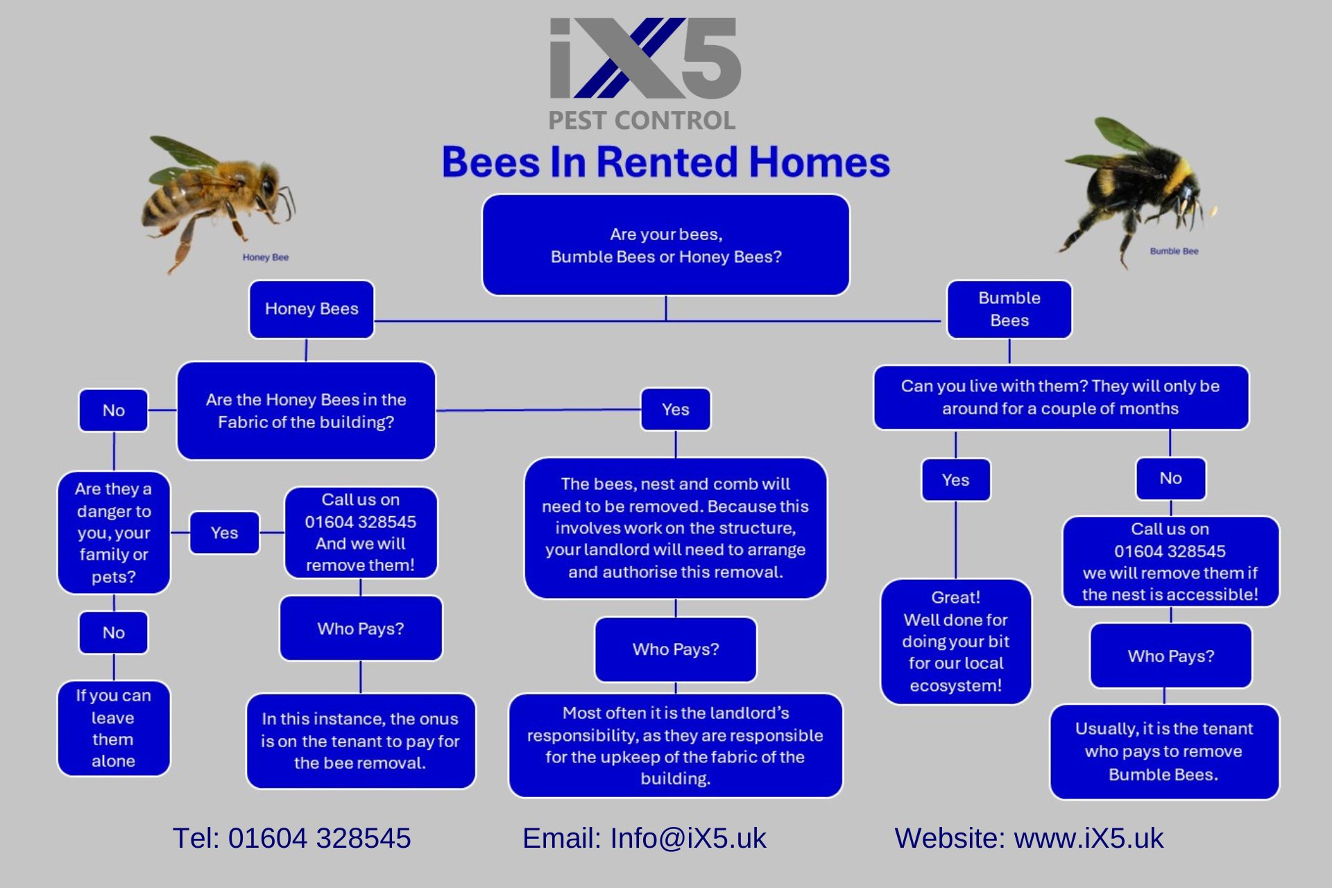 bees in rented homes - flowchg chart for who is responsible