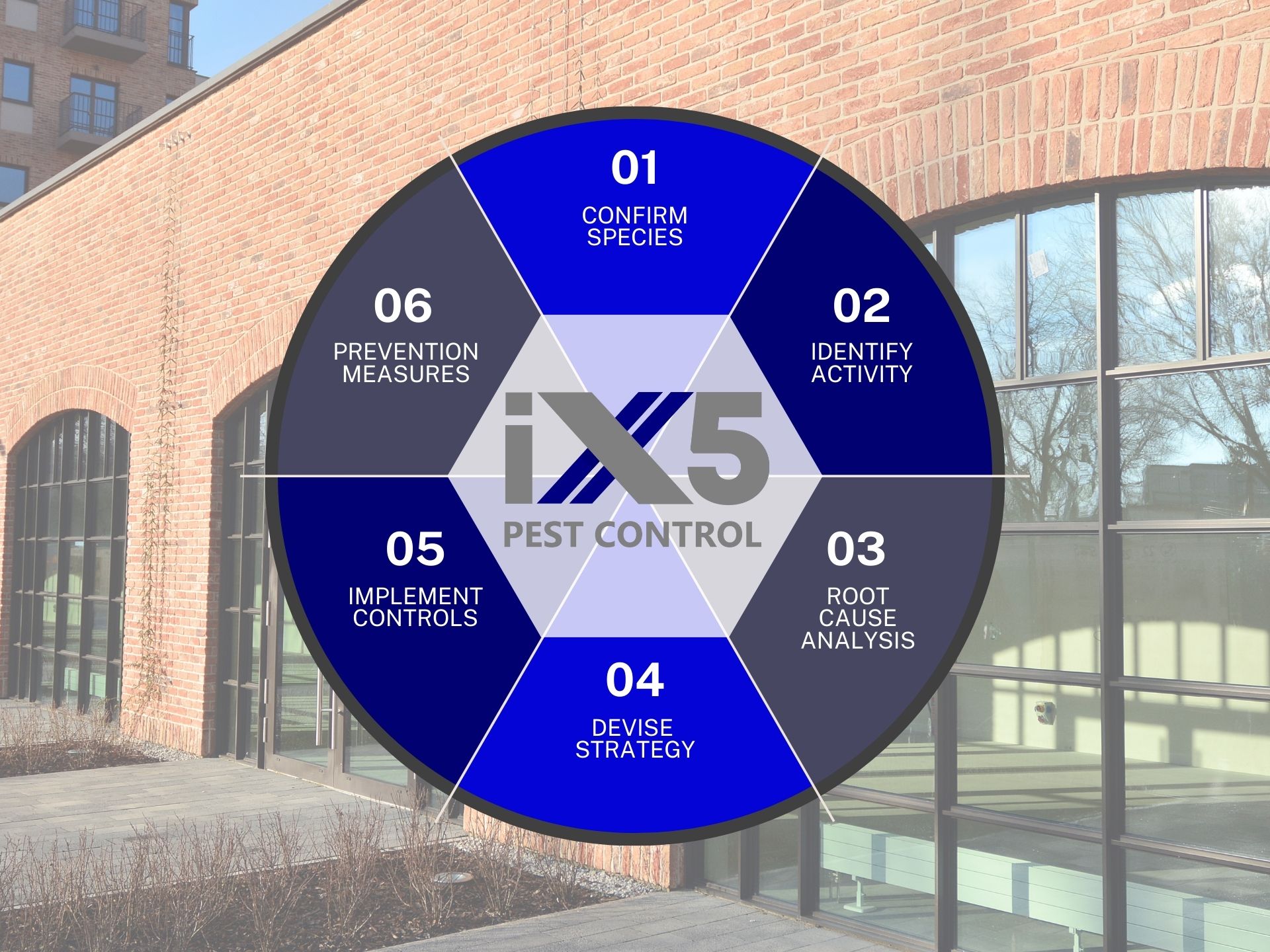 Root Cause - this graphic shows offices faded into the background with a radial graphic in the foreground that has 6 segments representing each of the 6 steps in our Root cayuse analysis